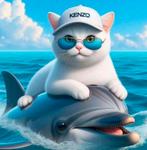 Diamond painting poes op dolfijn 55x55 vierkante steentjes, Ophalen of Verzenden, Nieuw, Knutselwerk