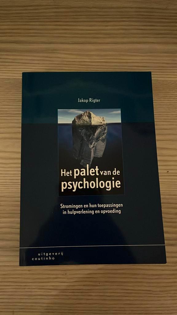 Jakop Rigter - Het palet van de psychologie, Livres, Psychologie, Comme neuf, Psychologie cognitive, Enlèvement ou Envoi