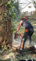 Jardinier grimpeur élagueur abattage d’arbre, Enlèvement