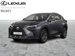 Lexus NX 350h Executive Line+360°camera+sens, Auto's, Lexus, Te koop, 244 pk, Zilver of Grijs, Emergency brake assist