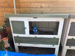 3 Cavia’s met kooi, Ophalen, Kooi, Gebruikt, 90 cm of meer
