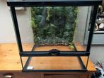 Terratlantis 45x45x45, Dieren en Toebehoren, Reptielen en Amfibieën | Toebehoren, Ophalen, Zo goed als nieuw, Terrarium of Paludarium