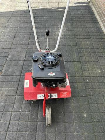 tuinfrees beschikbaar voor biedingen
