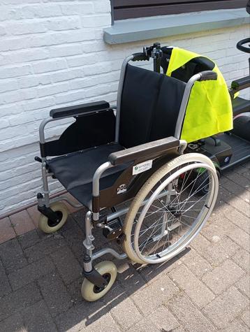 Roelstoel spronken beschikbaar voor biedingen