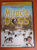 Miracle Dogs, Cd's en Dvd's, Dvd's | Kinderen en Jeugd, Alle leeftijden, Ophalen of Verzenden, Zo goed als nieuw, Dieren