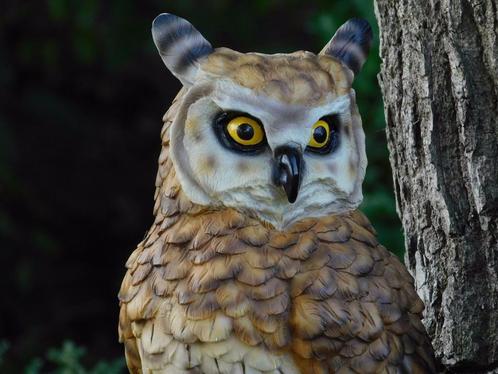 uil , beeld, Verzamelen, Dierenverzamelingen, Nieuw, Vogel, Ophalen of Verzenden