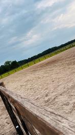 Unieke stalling voor recreatieve ruiter, Dieren en Toebehoren, Stalling en Weidegang, Stalling, 1 paard of pony