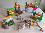 Groot lot DUPLO (zie foto's), Ophalen, Zo goed als nieuw, Duplo