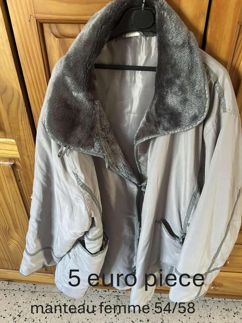 manteau de femme 54/56, Kleding | Dames, Jassen | Winter, Zo goed als nieuw, Maat 46/48 (XL) of groter, Grijs, Ophalen