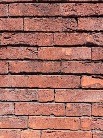 Bakstenen gevelstenen Forum Pampas Eco-brick WF 215x65x50 mm, Bricolage & Construction, Briques, Enlèvement, Neuf, Briques
