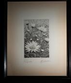 Ets Albert De Cooman  Margrieten, Enlèvement