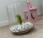 Petit aquarium poisson, Animaux & Accessoires, Poissons | Aquariums & Accessoires, Enlèvement, Utilisé, Aquarium vide