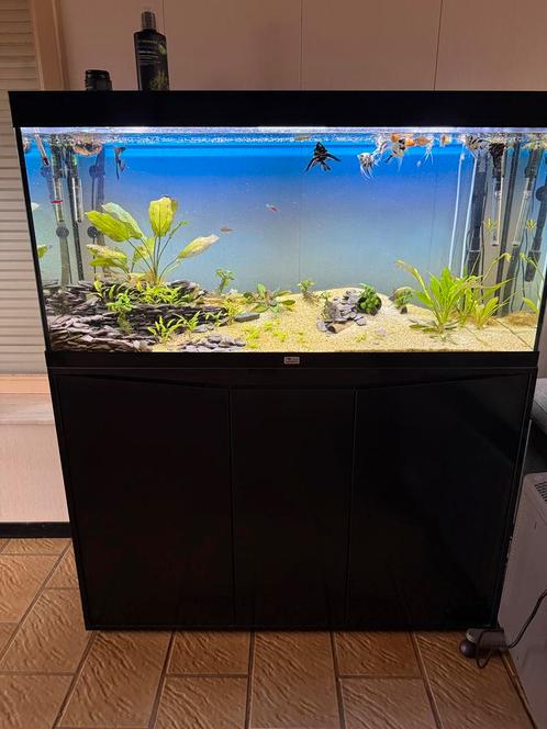 Aquarium merk aquatlantis 240l, Dieren en Toebehoren, Vissen | Aquaria en Toebehoren, Zo goed als nieuw, Ophalen