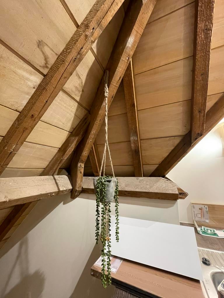 Twee mooie hangplantjes, Ophalen