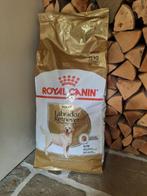 Royal Canin Labrador Retriever Adult, Chien, Enlèvement
