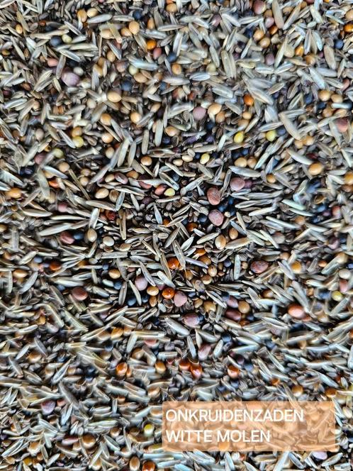 EXPERT Onkruidenzaden 5kg - Witte Molen, Dieren en Toebehoren, Vogels | Toebehoren, Ophalen of Verzenden