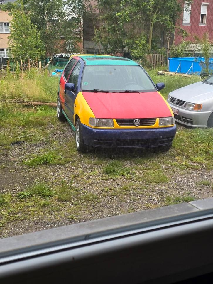 Vw harlekin, Auto's, Volkswagen, Particulier, Polo, Open dak, Benzine, Ophalen