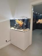 Aquarium Aquaview 92 | 253 liter, Gebruikt, Ophalen, Gevuld zoetwateraquarium