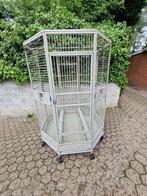 cage perroquet exagonal, Enlèvement, Utilisé, Métal, Cage à oiseaux