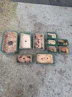 10 bonsai schalen gaat weg als setje, Ophalen