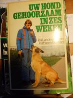 Boeken, Livres, Animaux & Animaux domestiques, Chiens, Utilisé, Enlèvement ou Envoi