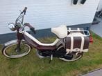 Honda camino, Ophalen