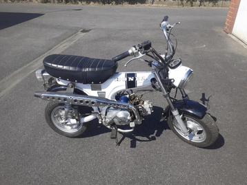 dax wit a klasse beschikbaar voor biedingen