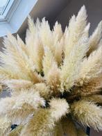 70 fleurs séchées à l'herbe de la pampa, Enlèvement ou Envoi, Comme neuf