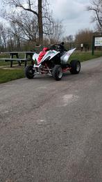 Yamaha raptor 350, Motoren