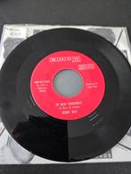 Remy Ray - Ik Hem Verdreet / Het Moe Mo Zoo Goo Nie Zaain, En néerlandais, Enlèvement ou Envoi, Single, Utilisé