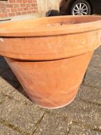 Grote terracotta bloempot in mooie staat, Ophalen, Zo goed als nieuw, Terracotta