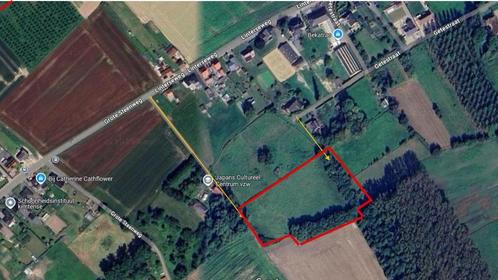 TE KOOP: Bosgrond Zoutleeuw – 11.228 m², Immo, Gronden en Bouwgronden, 1500 m² of meer, Verkoop zonder makelaar