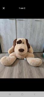 Grote knuffelhond, Enlèvement, Neuf, Chien