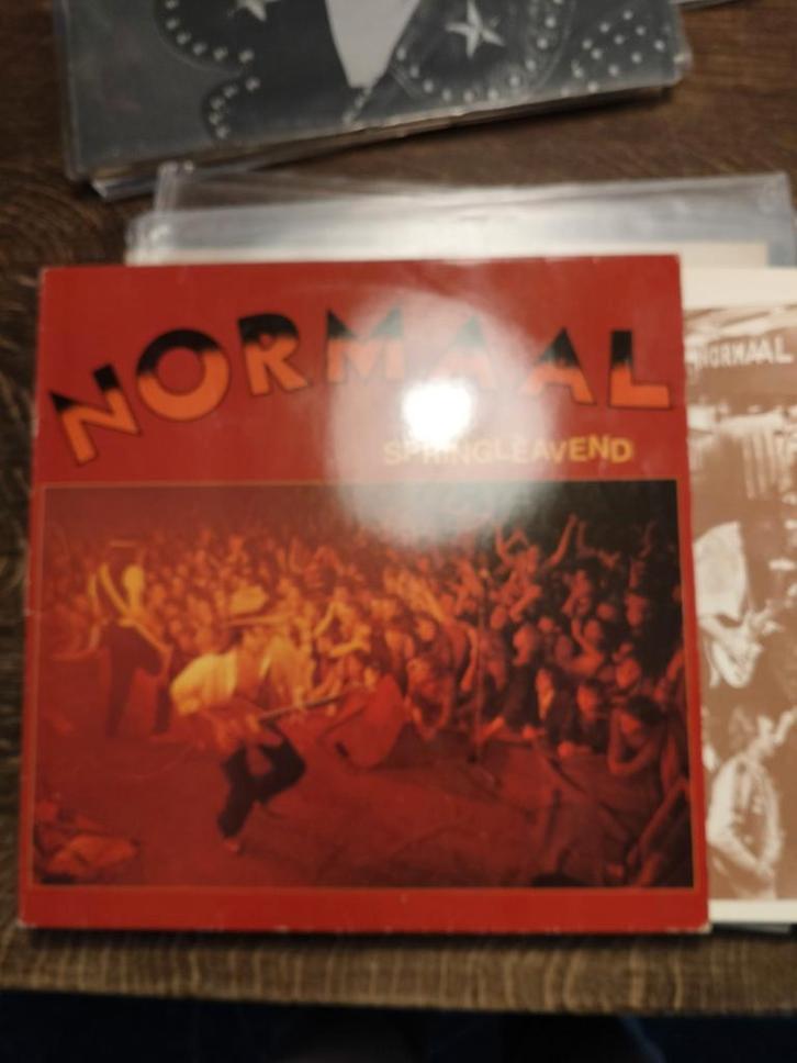 lp normaal springleavend, CD & DVD, Vinyles | Rock, Enlèvement ou Envoi