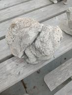 tuinbeeld langhoorkonijn, Tuin en Terras, Tuinbeelden, Ophalen, Zo goed als nieuw, Beton, Dierenbeeld