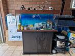 Aquarium Juwel 200L + Kast en toebehoren, Gebruikt, Ophalen, Leeg aquarium