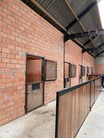 Kleinschalige stalling te huur 2x paard/ pony, Weidegang, 2 of 3 paarden of pony's