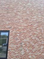 +500 Gevelstenen: Wienerberger tongerse recup rijnvorm, Ophalen, Nieuw, Bakstenen