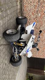 Suzuki ltz400 (valenti racing), Motoren, 400 cc, 1 cilinder, 11 kW of minder