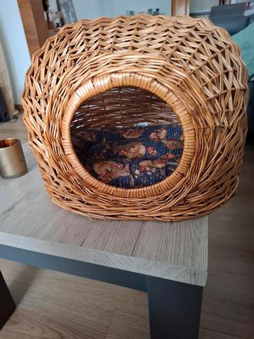 Schattige kattenmand beschikbaar voor biedingen