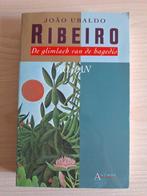Ribeiro - Glimlach van de hagedis, Ophalen of Verzenden, Zo goed als nieuw, Ribeiro