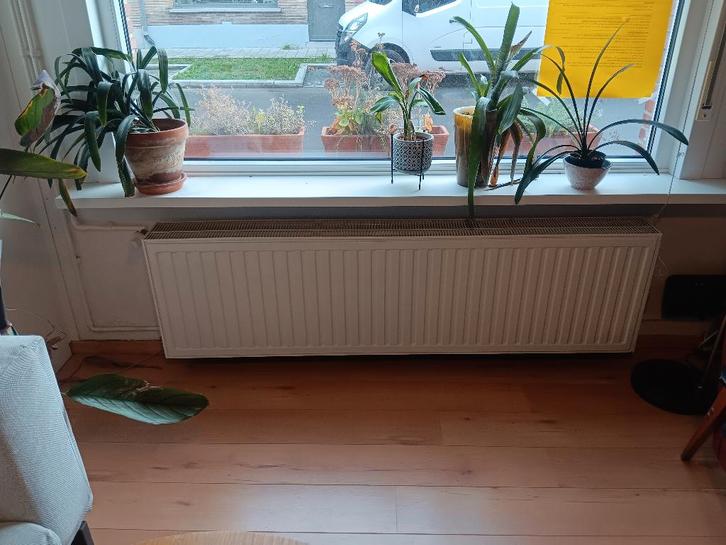 Radiator cv 4 stuks, Doe-het-zelf en Bouw, Verwarming en Radiatoren, Gebruikt, Radiator, 30 tot 80 cm, 150 cm of meer, Ophalen