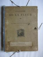 Encyclopèdie de la fleur - les fleurs et les fruits, Boeken, Natuur, Gelezen, Ophalen of Verzenden