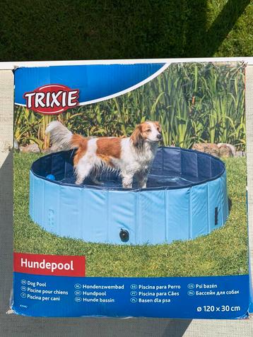 Zwembad voor honden  beschikbaar voor biedingen