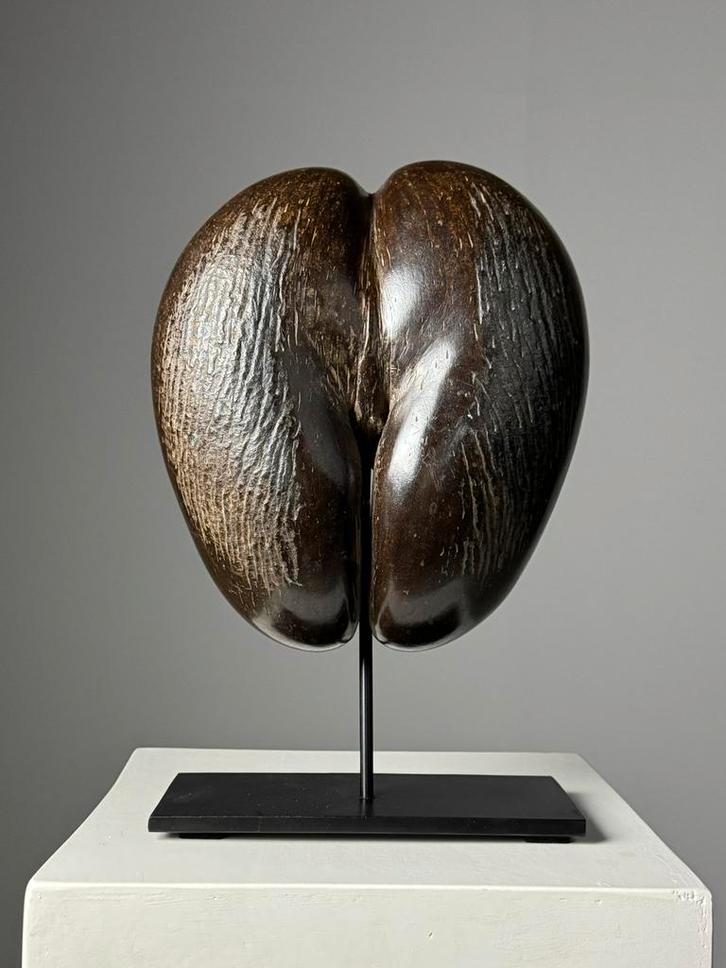 Coco de Mer op custom standaard, Verzamelen, Mineralen en Fossielen, Ophalen