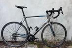 Canyon Endurace CF 7.0 - Carbon - XL - In super conditie, Fietsen en Brommers, Fietsen | Racefietsen, Carbon, Heren, Zo goed als nieuw