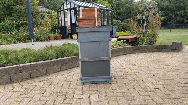 Bijenkast te koop, maat kempisch, Dieren en Toebehoren, Insecten en Spinnen