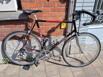 Primorosso classic beschikbaar voor biedingen