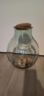 Vaas voor terrarium, Huis en Inrichting, Ophalen, Zo goed als nieuw, Glas, Minder dan 50 cm