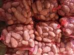 vastkokende aardappelen, Zakelijke goederen, Landbouw | Aardappelen, Groenten, Fruit en Vlees, Ophalen